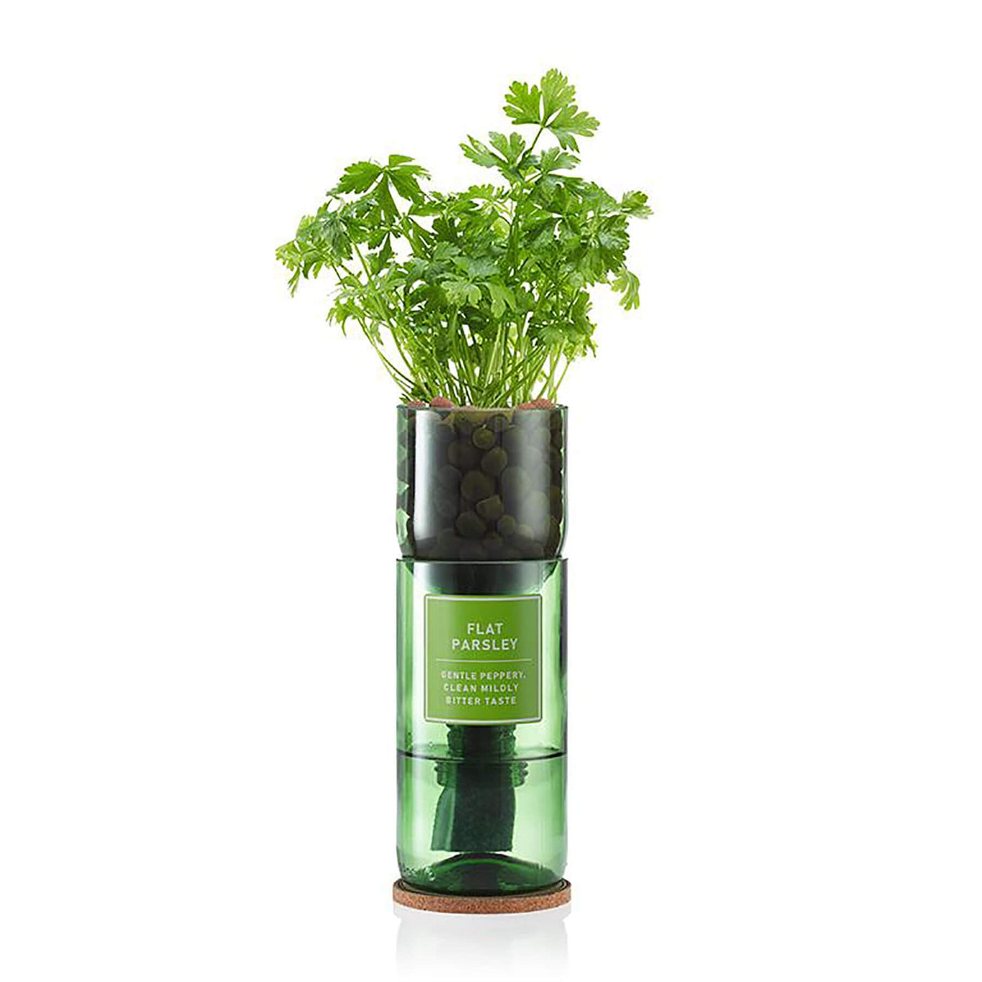 Hydro Herb Flat Parsley Hydroponic Growing Kit - Norman & Vera Garden Emporium