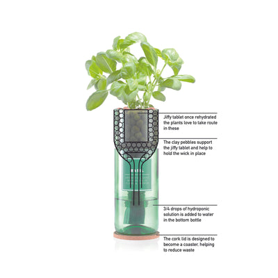 Hydro Herb Tarragon Hydroponic Growing Kit