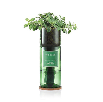 Hydro Herb Oregano Hydroponic Growing Kit - Norman & Vera Garden Emporium