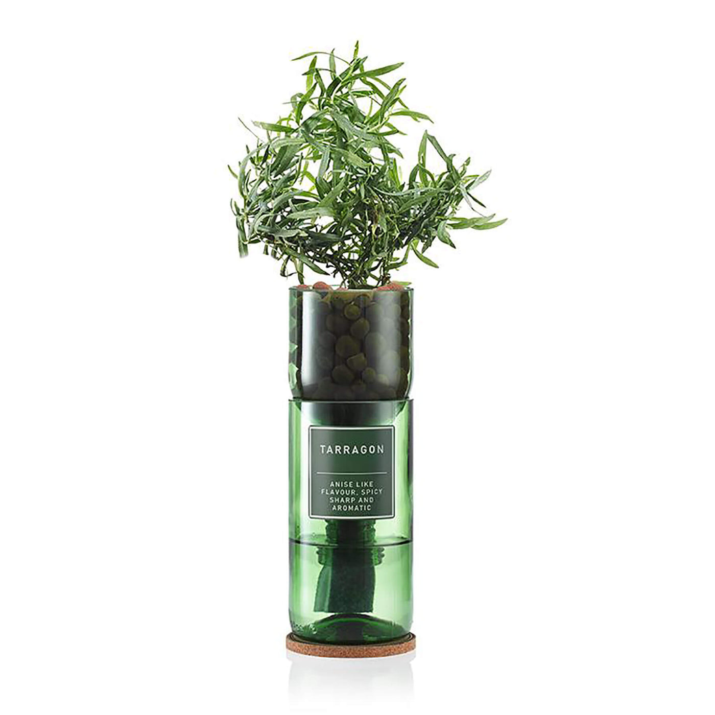 Hydro Herb Tarragon Hydroponic Growing Kit - Norman & Vera Garden Emporium