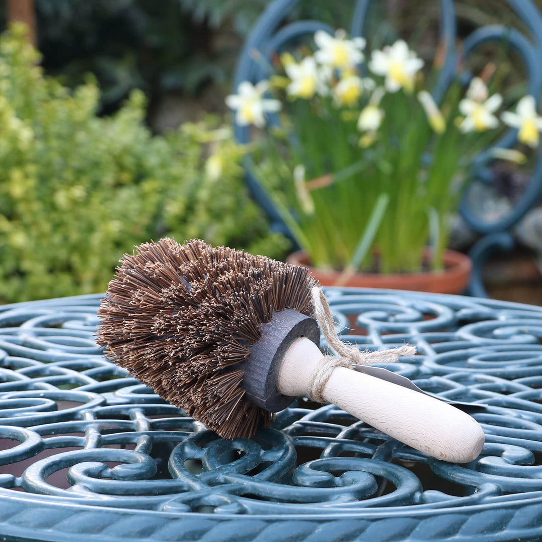 Nutscene Gardener's Wooden Plant Pot Brush Small - Norman & Vera Garden Emporium