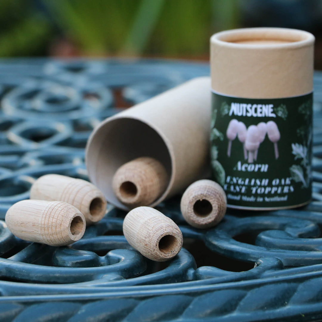Nutscene Wooden Acorn Garden Cane Caps pack of 5 - Norman & Vera Garden Emporium
