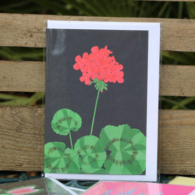 Red Zonal Pelargonium Greetings Card - Norman & Vera Garden Emporium