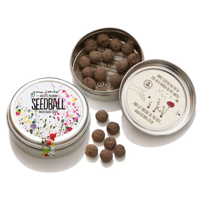Seedball Artist's Meadow Wildflower Seed Tin - Norman & Vera Garden Emporium