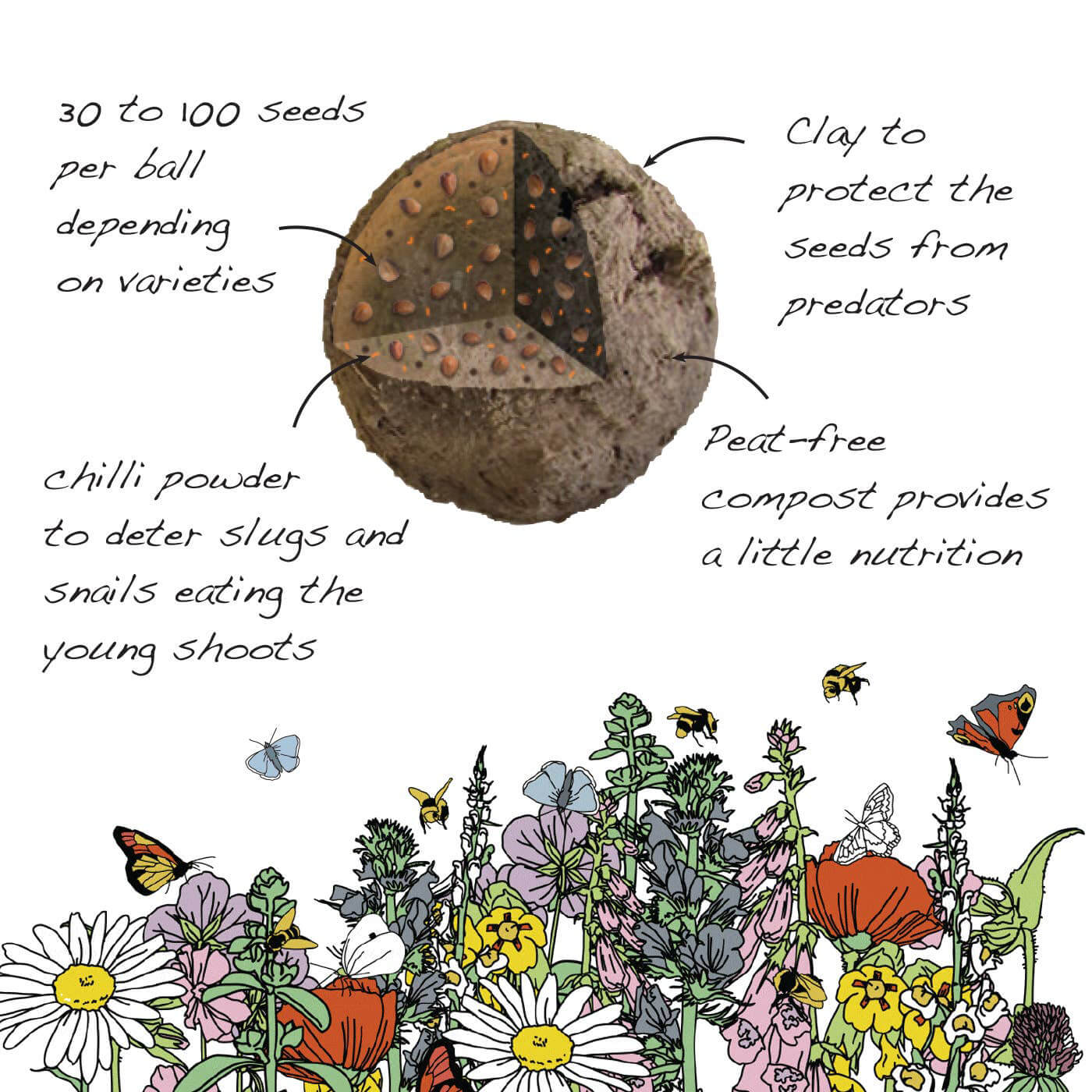 Seedball Artist's Meadow Wildflower Seed Tin - Norman & Vera Garden Emporium