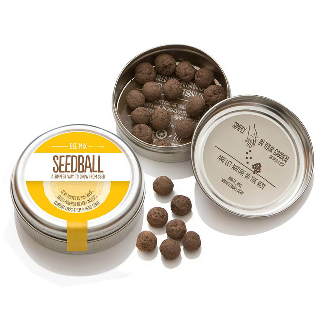 Seedball Bee Mix Seed Tin - Norman & Vera Garden Emporium