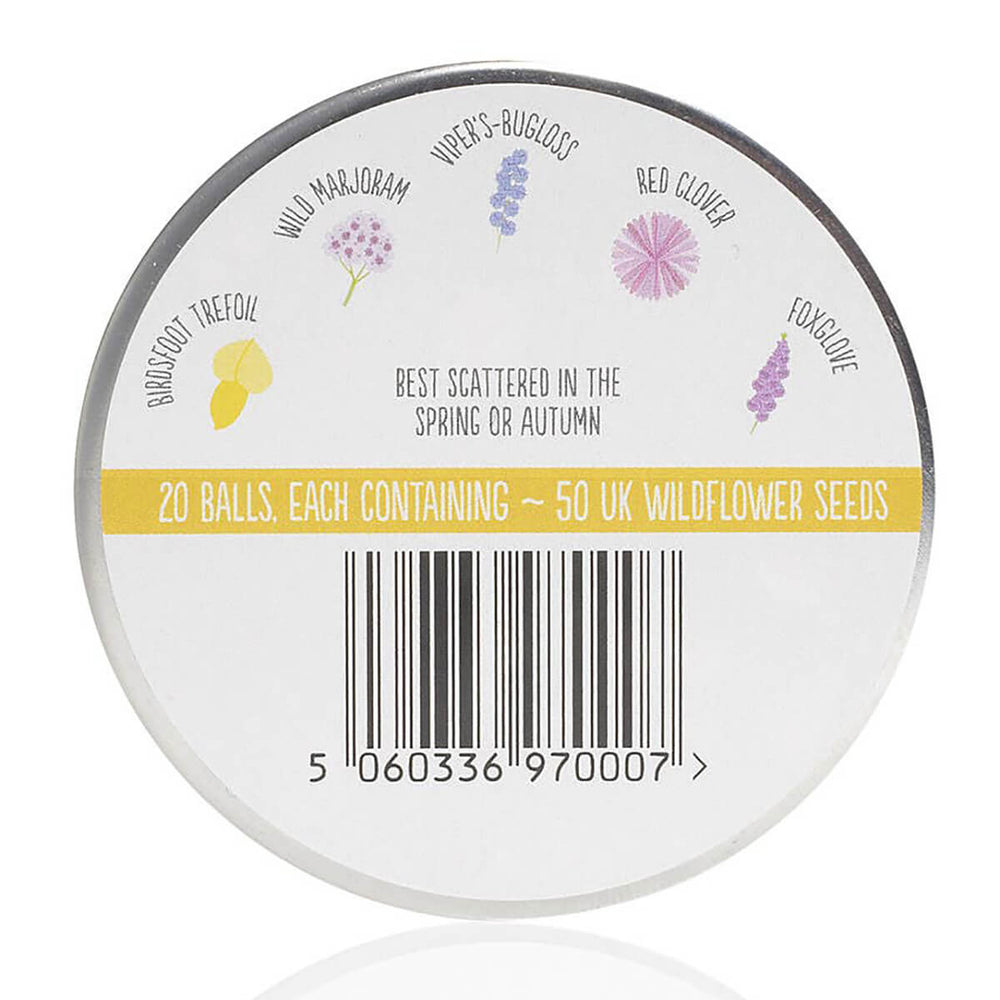 Seedball Bee Mix Seed Tin - Norman & Vera Garden Emporium