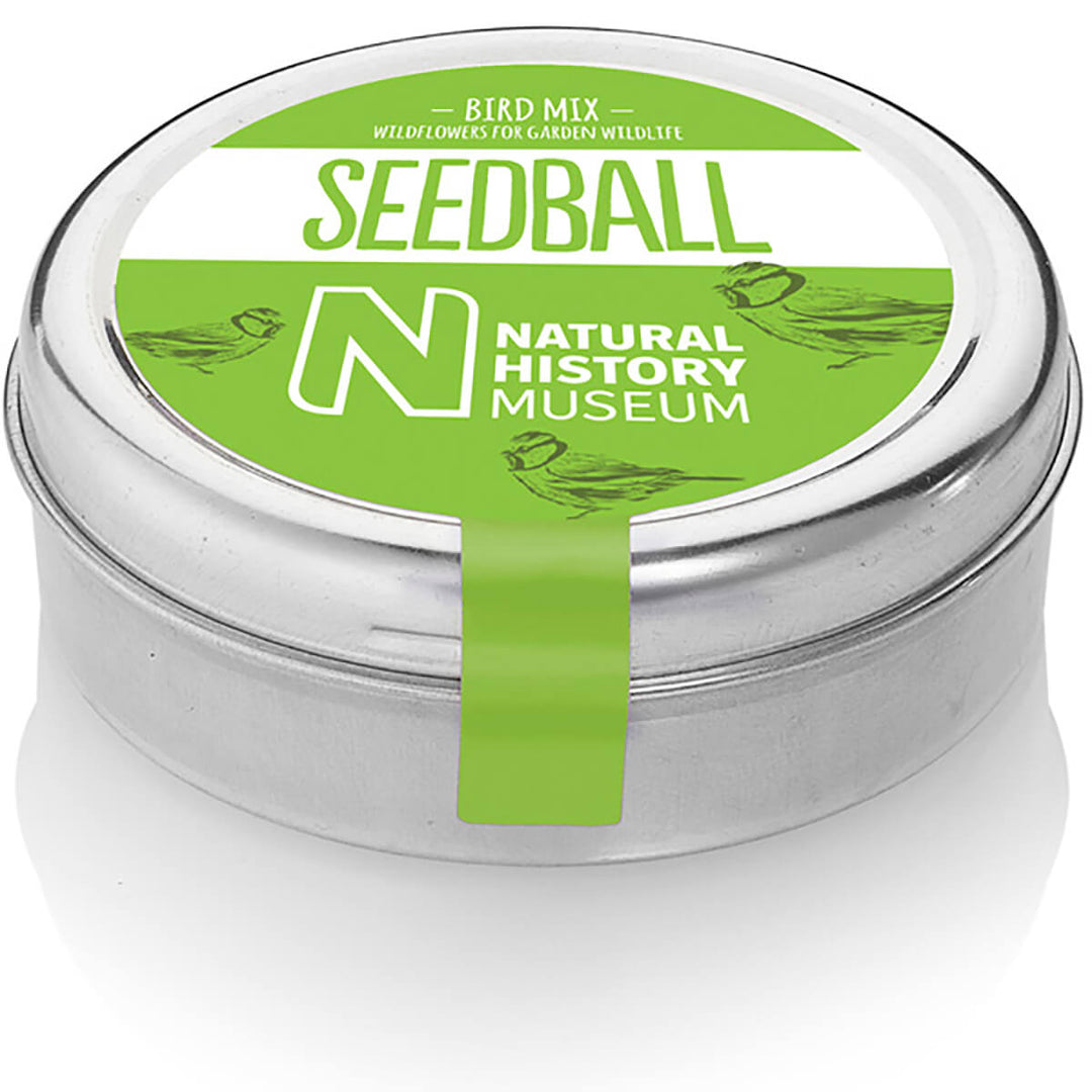 Seedball Bird Mix Wildflower Seed Mix Tin - Norman & Vera Garden Emporium