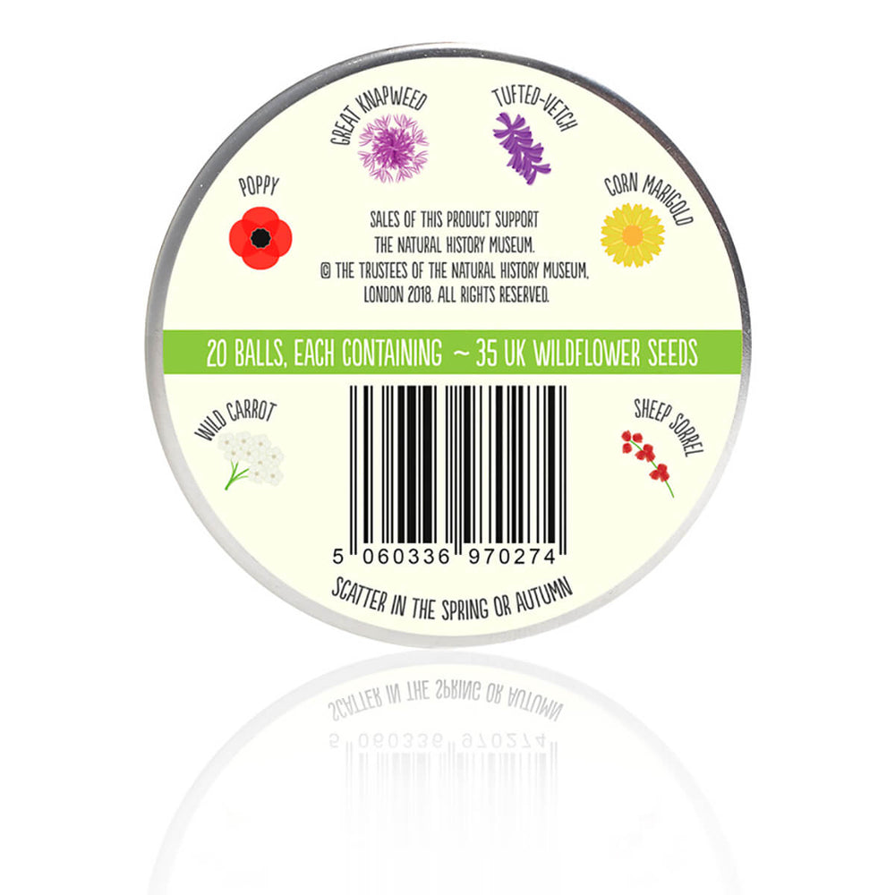Seedball Bird Mix Wildflower Seed Mix Tin - Norman & Vera Garden Emporium