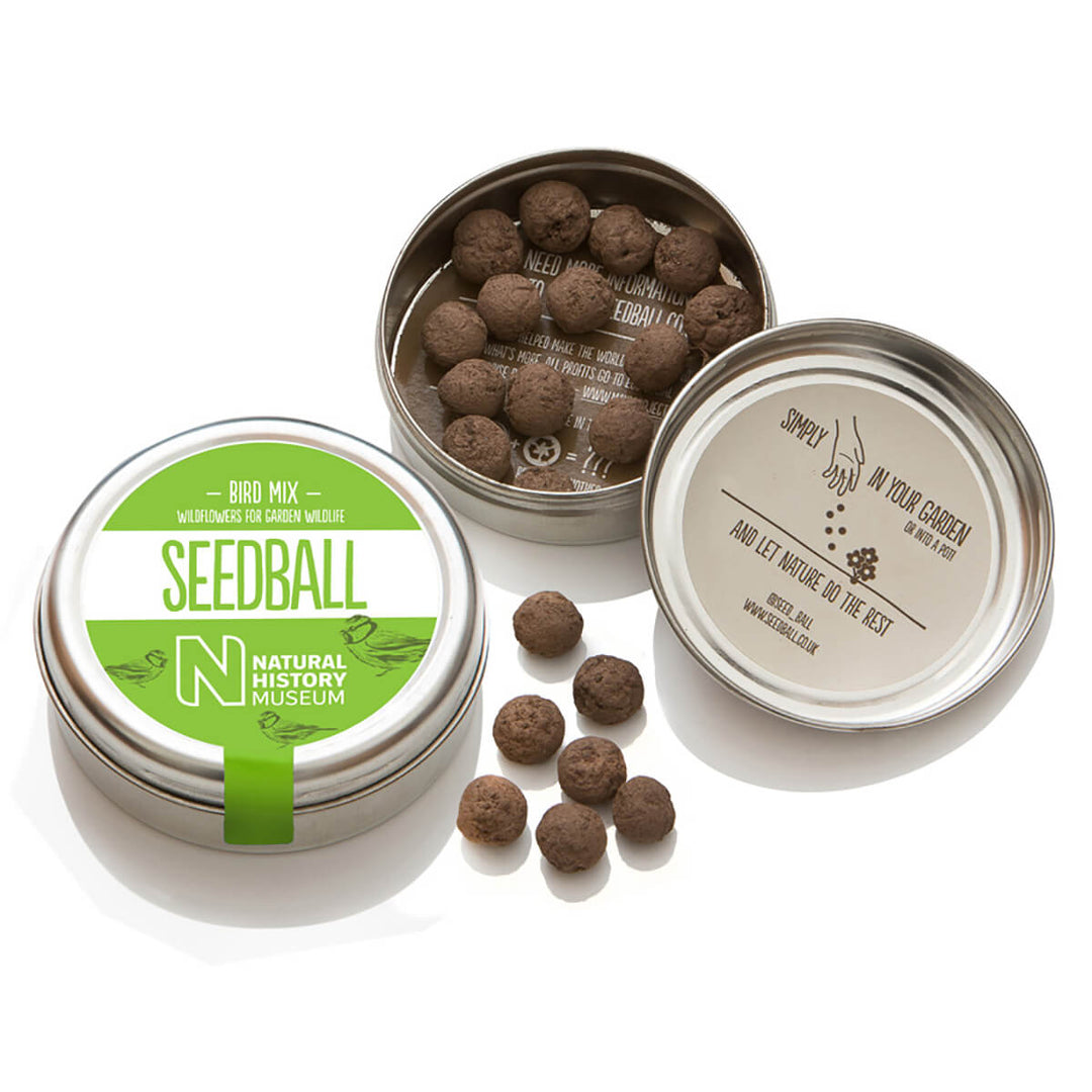 Seedball Bird Mix Wildflower Seed Mix Tin - Norman & Vera Garden Emporium