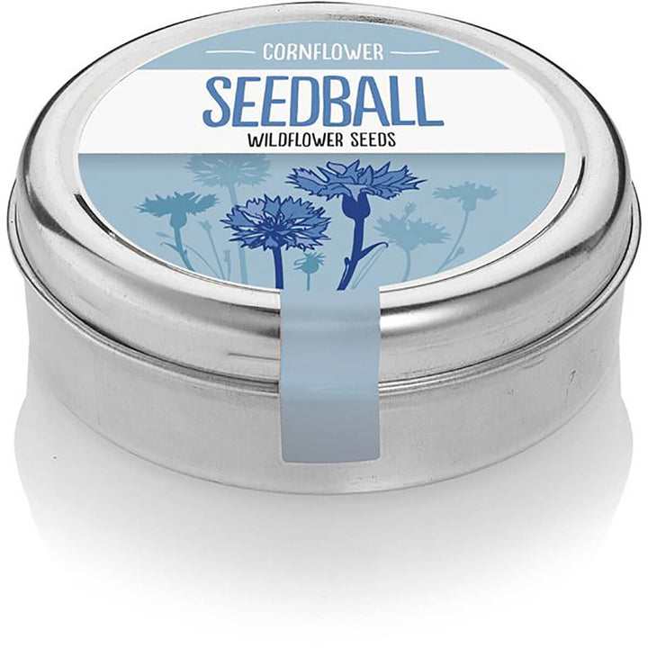 Seedball Cornflower Wildflower Seed Tin - Norman & Vera Garden Emporium