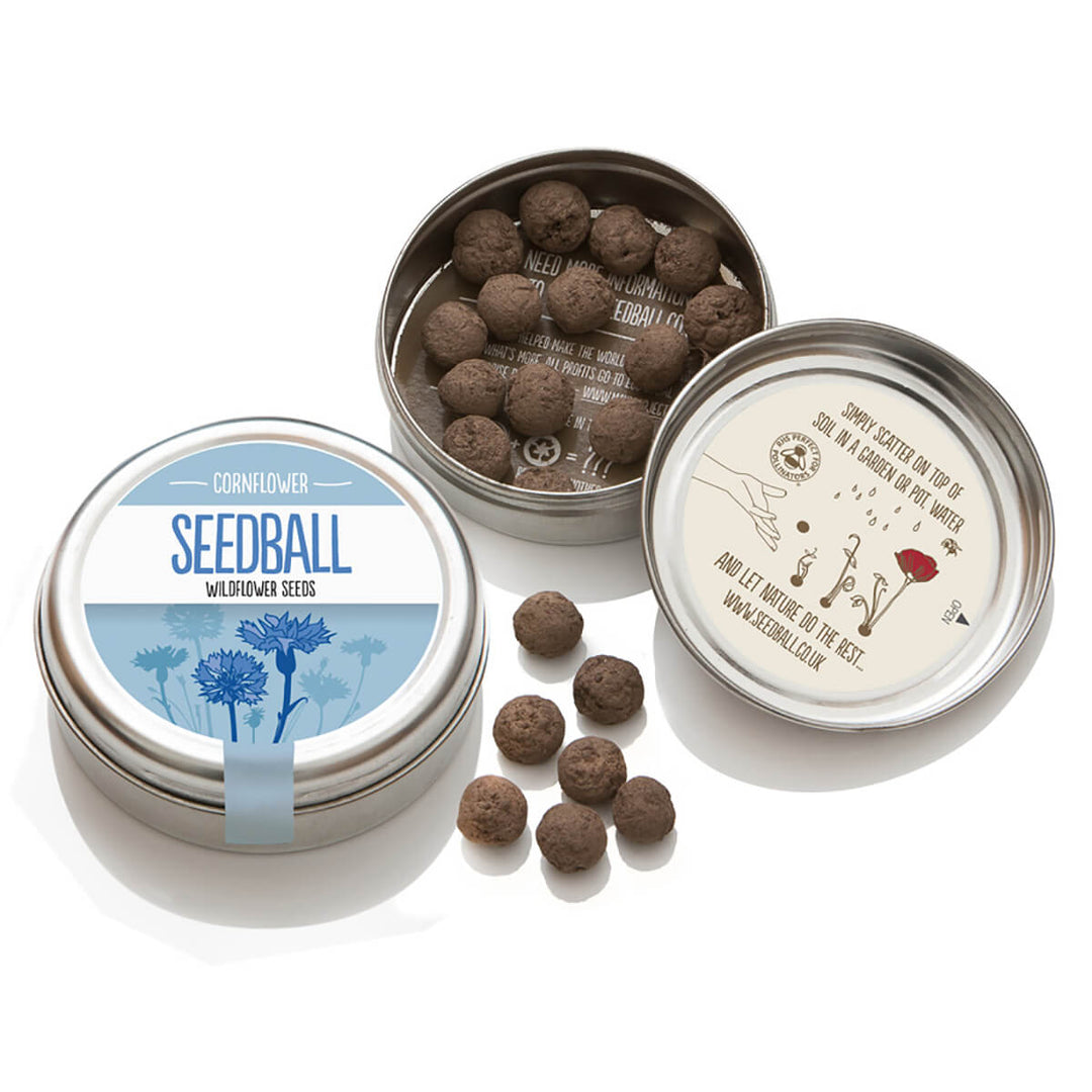 Seedball Cornflower Wildflower Seed Tin - Norman & Vera Garden Emporium