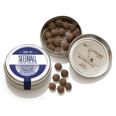 Seedball Shade Mix Seed Tin - Norman & Vera Garden Emporium