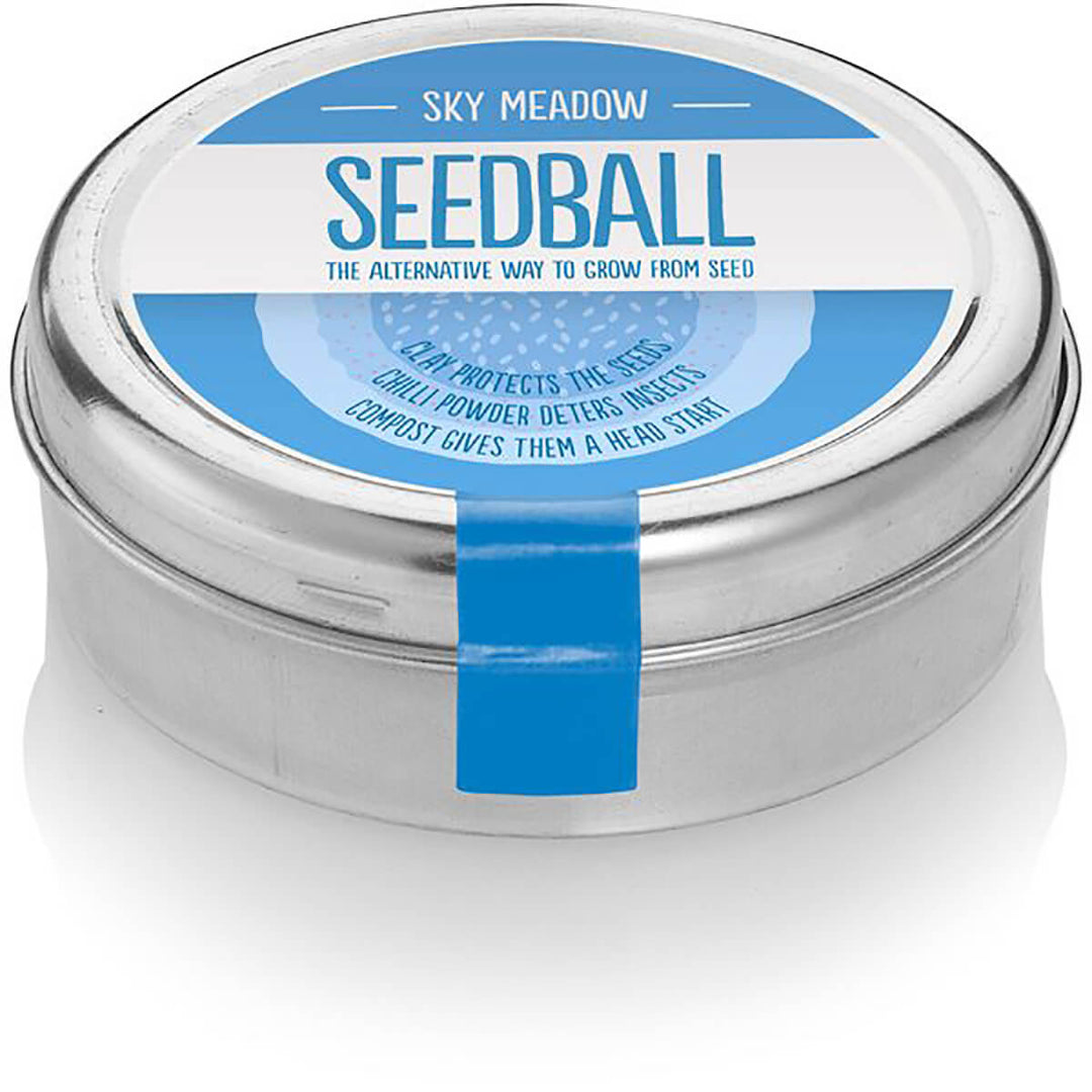 Seedball Sky Meadow Wildflower Seed Tin - Norman & Vera Garden Emporium