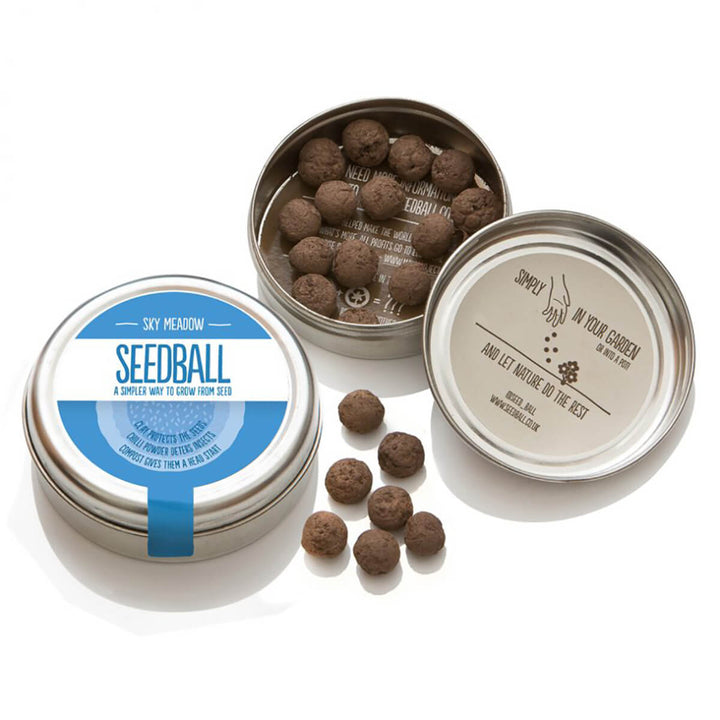 Seedball Sky Meadow Wildflower Seed Tin - Norman & Vera Garden Emporium