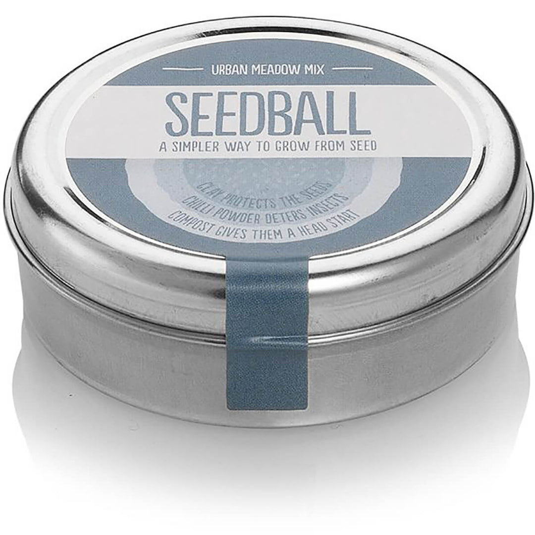 Seedball Urban Meadow Wildflower Seed Mix Tin - Norman & Vera Garden Emporium