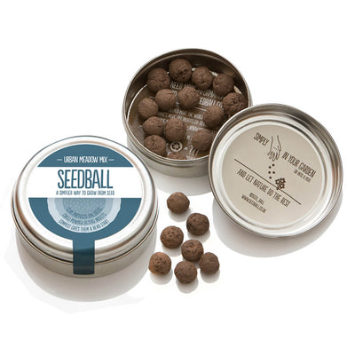 Seedball Urban Meadow Wildflower Seed Mix Tin - Norman & Vera Garden Emporium