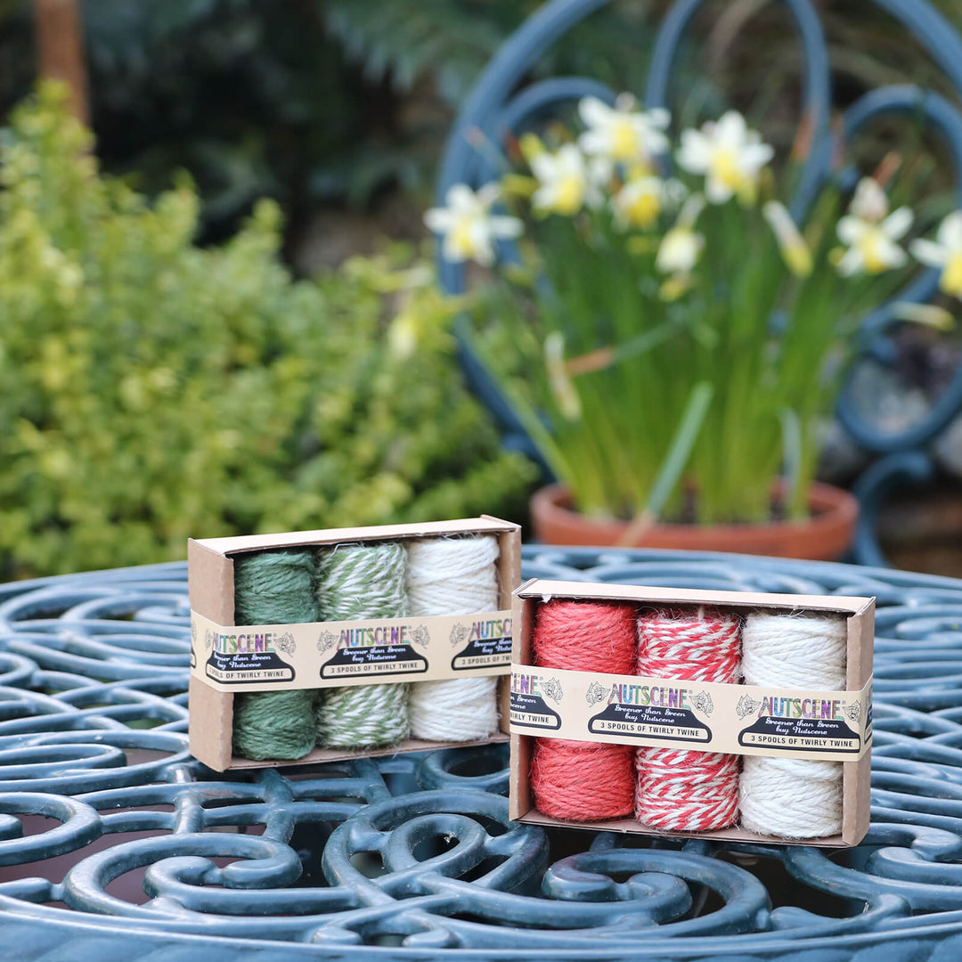Nutscene Twirly Twine Green (3 Pack) - Norman & Vera Garden Emporium